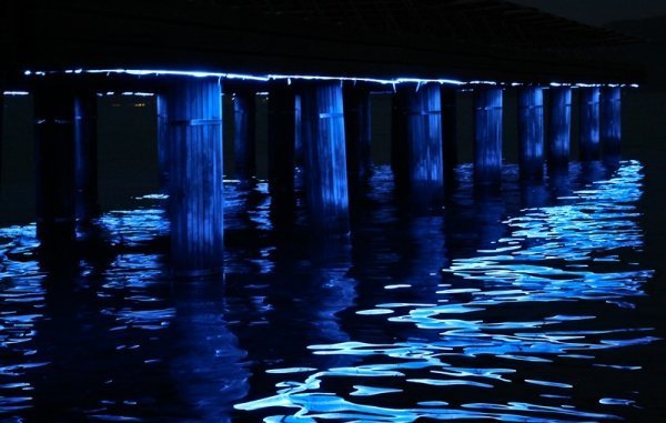 Фотовиставка Уляни Макар