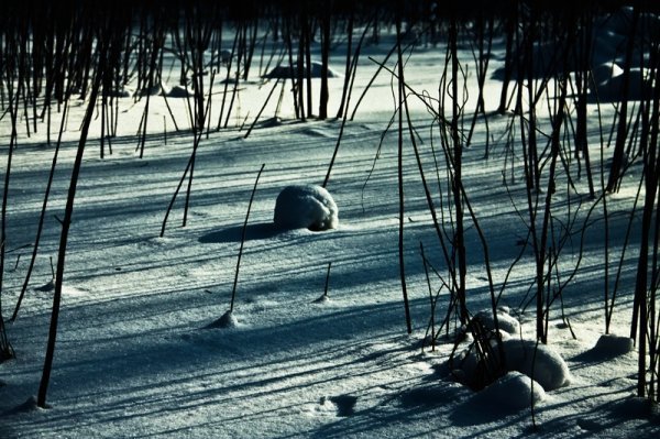 Фотовиставка Уляни Макар