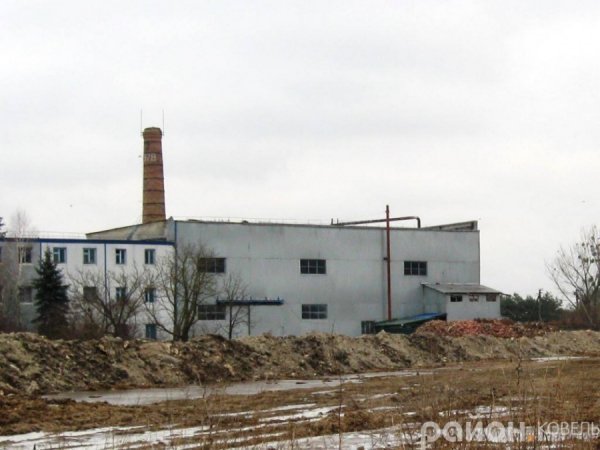 Ковельське екологічне лихо:  «падаль» закопують в ями