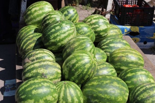 У Луцьку процвітає стихійна торгівля. ФОТО