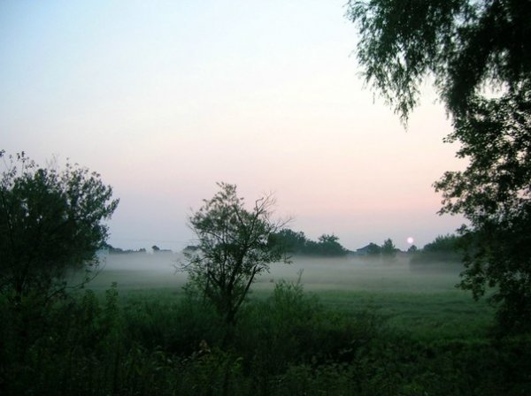 Туман у Луцьку. 5:30 ранку, вулиця Чернишевського  15 липня 2013 року. Автор – Юрій Ричук.