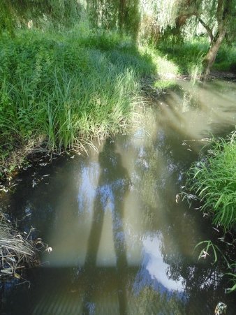 Тінь людини, яка дивиться з містка в річку... Автор фото - Елліна Луцях липень 2013, Луцьк, Парк імені 900-річчя Луцька