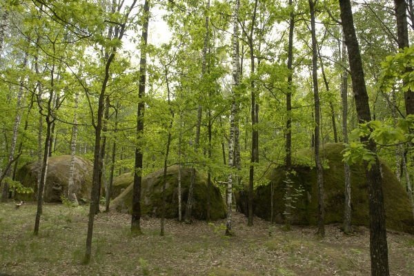 Унікальна Україна: 24 куточки, створені природою та людиною. ФОТО
