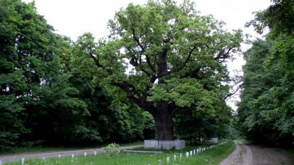 Унікальна Україна: 24 куточки, створені природою та людиною. ФОТО