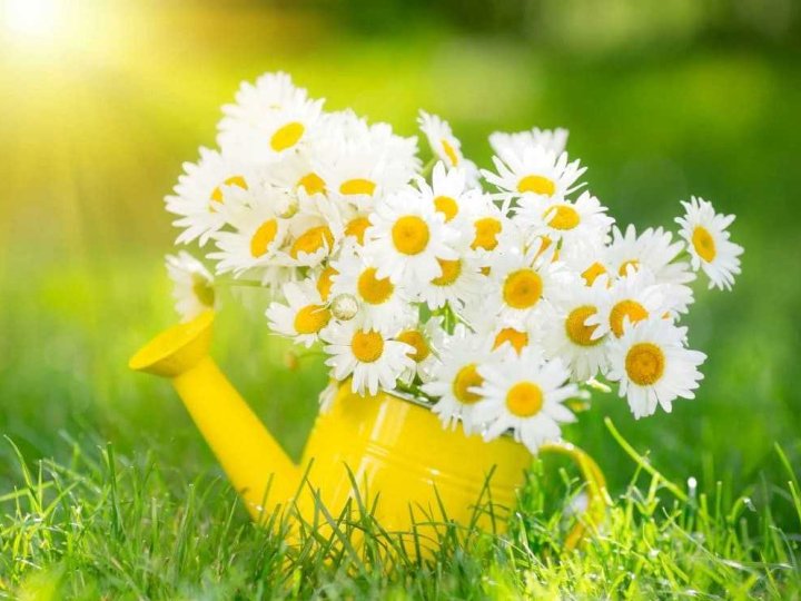 Якою буде погода у Луцьку та на Волині у неділю, 10 серпня