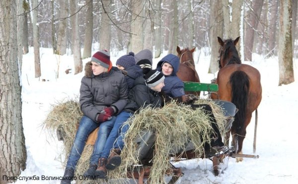 Як школярі звірів годували. ФОТО