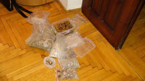 На Волині викрили цех з підпільної обробки бурштину. ФОТО