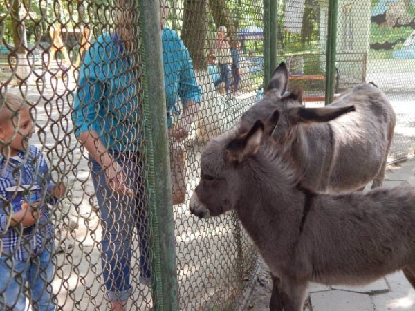 А це вже тепер. Малечі - два місяці