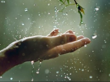 Синоптики попереджають про дощі і грози