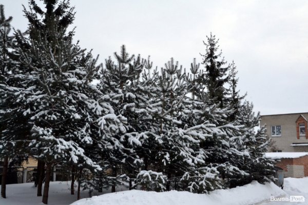 Лютий лютує: фото зими в Луцьку