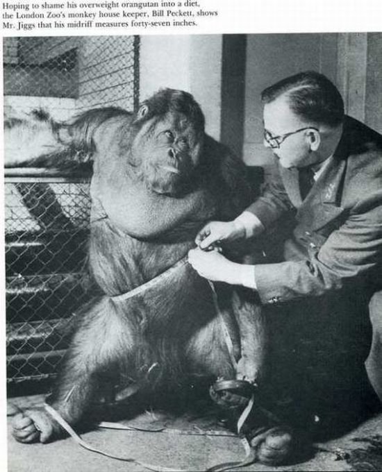 35 дивних фото минулого. ФОТО