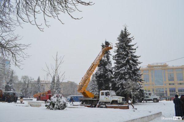 У Луцьку прикрашають головну ялинку. ФОТО