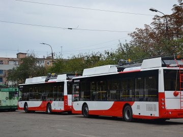 У Луцьку скасували частину рейсів тролейбуса до кладовища: чому