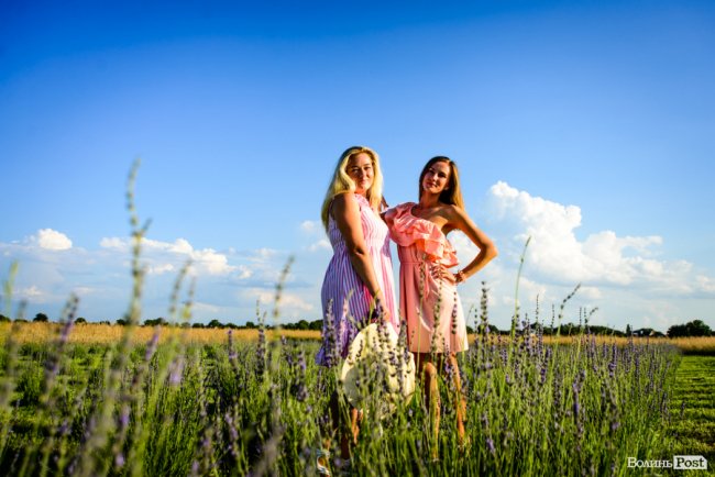 «Це – наша третя дитина»: на Волині подружжя створило лавандову плантацію. ФОТО