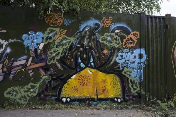 Як графітчики розмалювали 72-метрову стіну в Луцьку. ФОТО