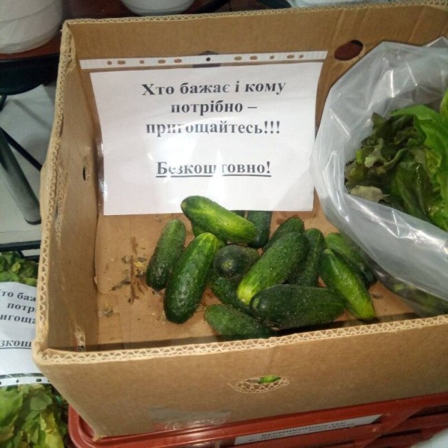 «Хто бажає – пригощайтесь»: волинські фермери безкоштовно роздають городину. ФОТО