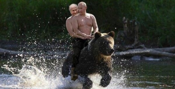 Як уболівальники Чемпіонату світу глузували з Путіна. ФОТО