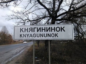 У селі біля Луцька автобус на трасі збив двох дітей