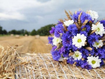 Спека і заморозки: якою  буде погода в Україні у серпні
