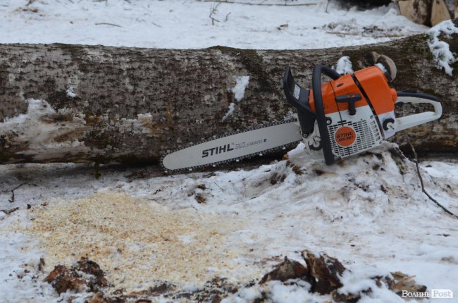 Жнива у зимовому лісі: як на Волині заготовляють деревину. ФОТО