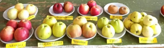 У школі на Волині креативно провели останній навчальний день перед канікулами