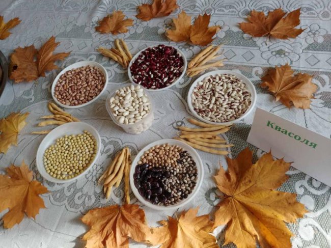 У школі на Волині креативно провели останній навчальний день перед канікулами