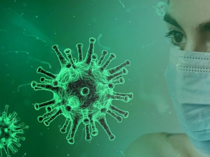 Новий вірус у кажанів може знову загрожувати людству: лікарі попередили про ризик пандемії