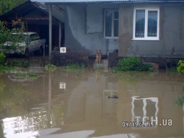 Велика вода на Західній Україні. ФОТО