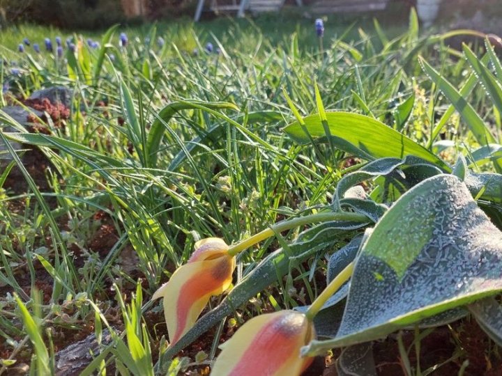 У квітні - нижче нуля: Луцьк побив черговий температурний рекорд