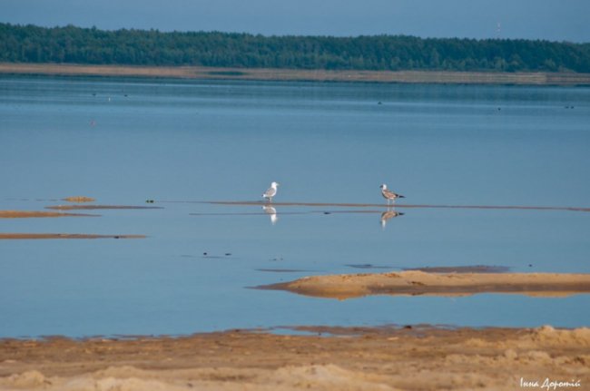 «Змілілий, але затишний», –  лучанка про осінній Світязь. ФОТО