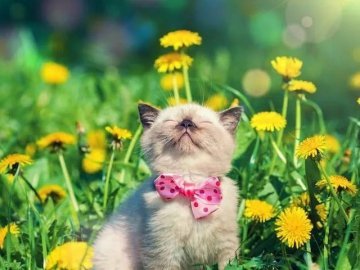 Добрі новини від ВолиньPost за 19 липня 