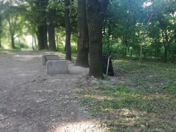 Луцький парк очистили від зарослів. ФОТО