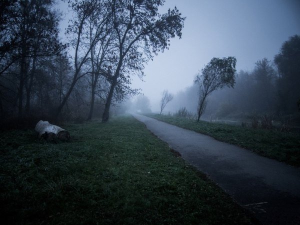 Фото Тараса Маркіна