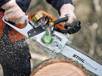 Двоє волинян попалися на незаконній вирубці лісу