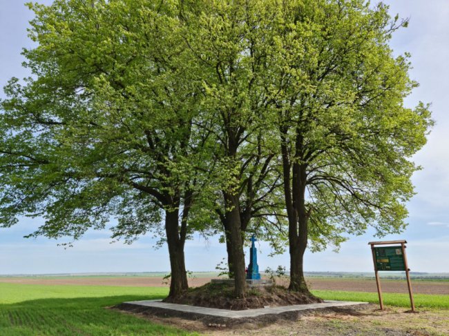У Підгайцівській громаді впорядкували історичну локацію. ФОТО