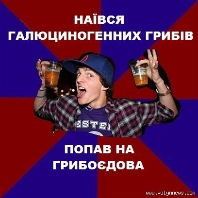 Приколи-2012: кращі фотожаби, меми і демотиватори волинського інтернету