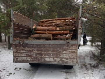 На Волині затримали вантажівку та кінну підводу з незаконним лісом. ФОТО