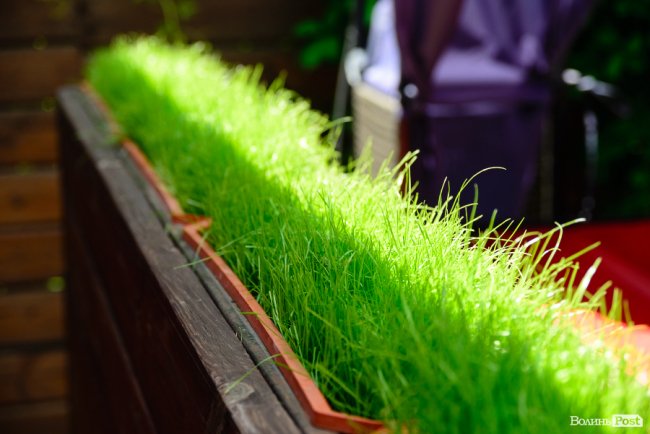 У луцькому парку запрацювала «Ротонда». ФОТО 