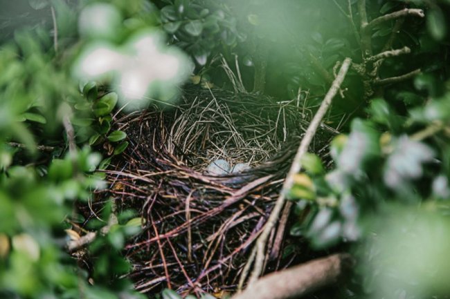 Луцька фотографка показала красу загадкового Черемського болота 
