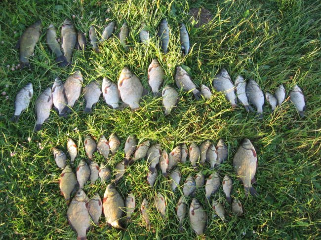 За добу браконьєри на Волині завдали шкоди на 30 тисяч гривень