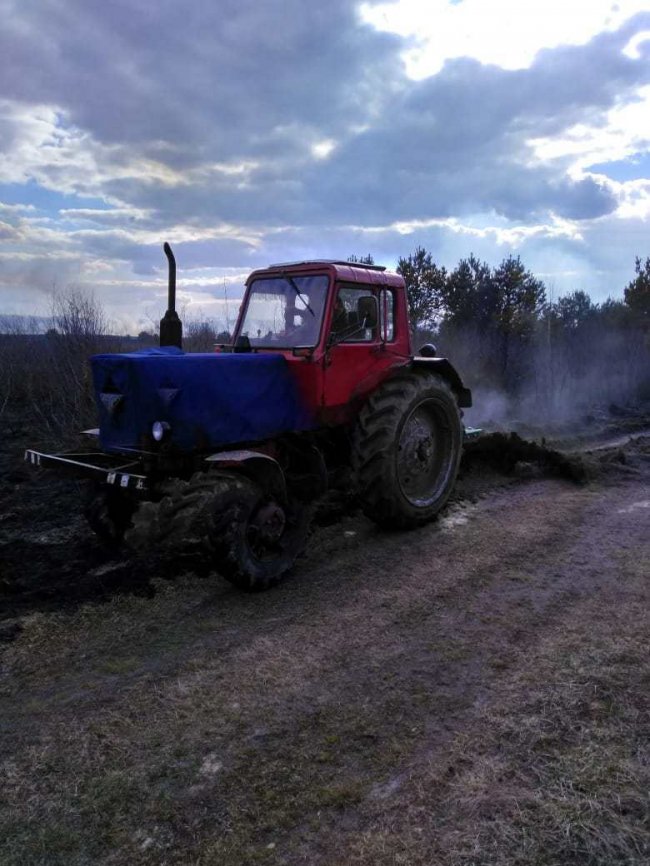 Вигоріло 30 га території: на Волині через спалювання сміття ледь не зайнявся ліс. ФОТО