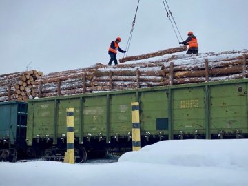 З Волині 55 вагонів деревини відправлять для ЗСУ. ВІДЕО