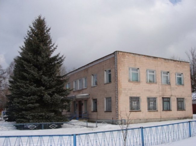 У Поворську перед адмінбудівлею зрізали 4 сріблясті ялини, які колись намагалися викупити у маєток столичного багатія