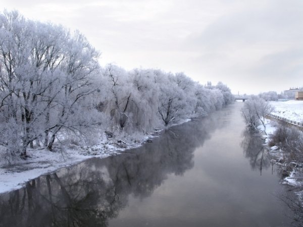 Фотовиставка Тетяни Полуектової