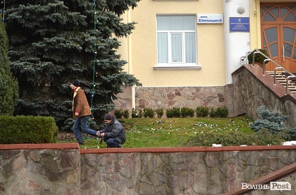У Луцьку прикрасили ялинку біля міськради. ФОТО
