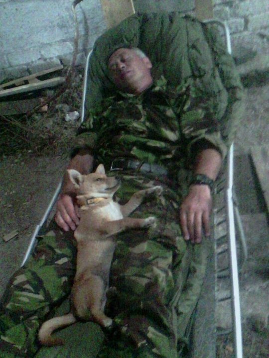 Фото з передової: військові та їх улюбленці. ФОТО