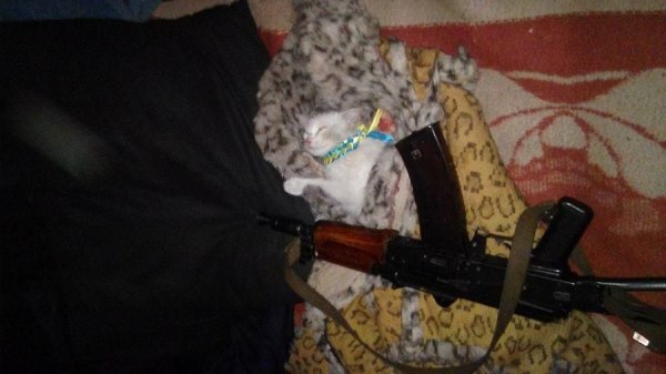 Фото з передової: військові та їх улюбленці. ФОТО