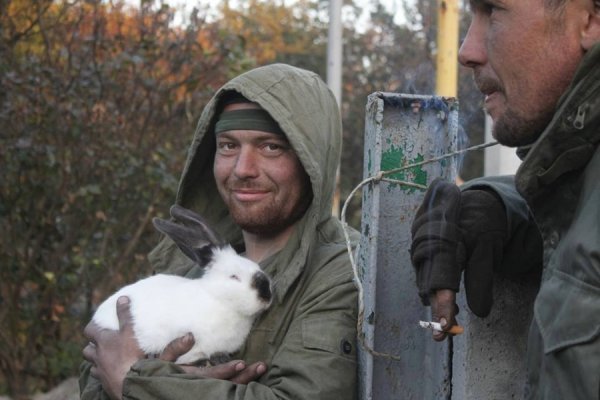 Фото з передової: військові та їх улюбленці. ФОТО