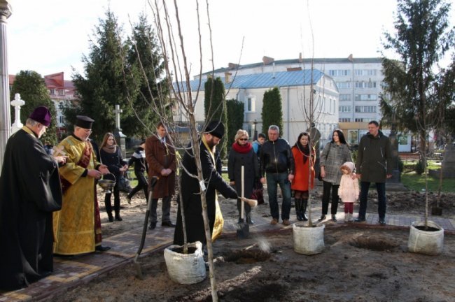 Після критики священики пояснили дерева біля собору в центрі Луцька