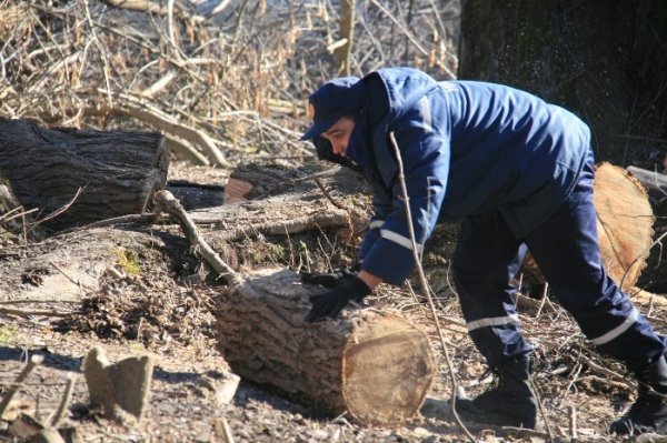 Луцьк прибирають